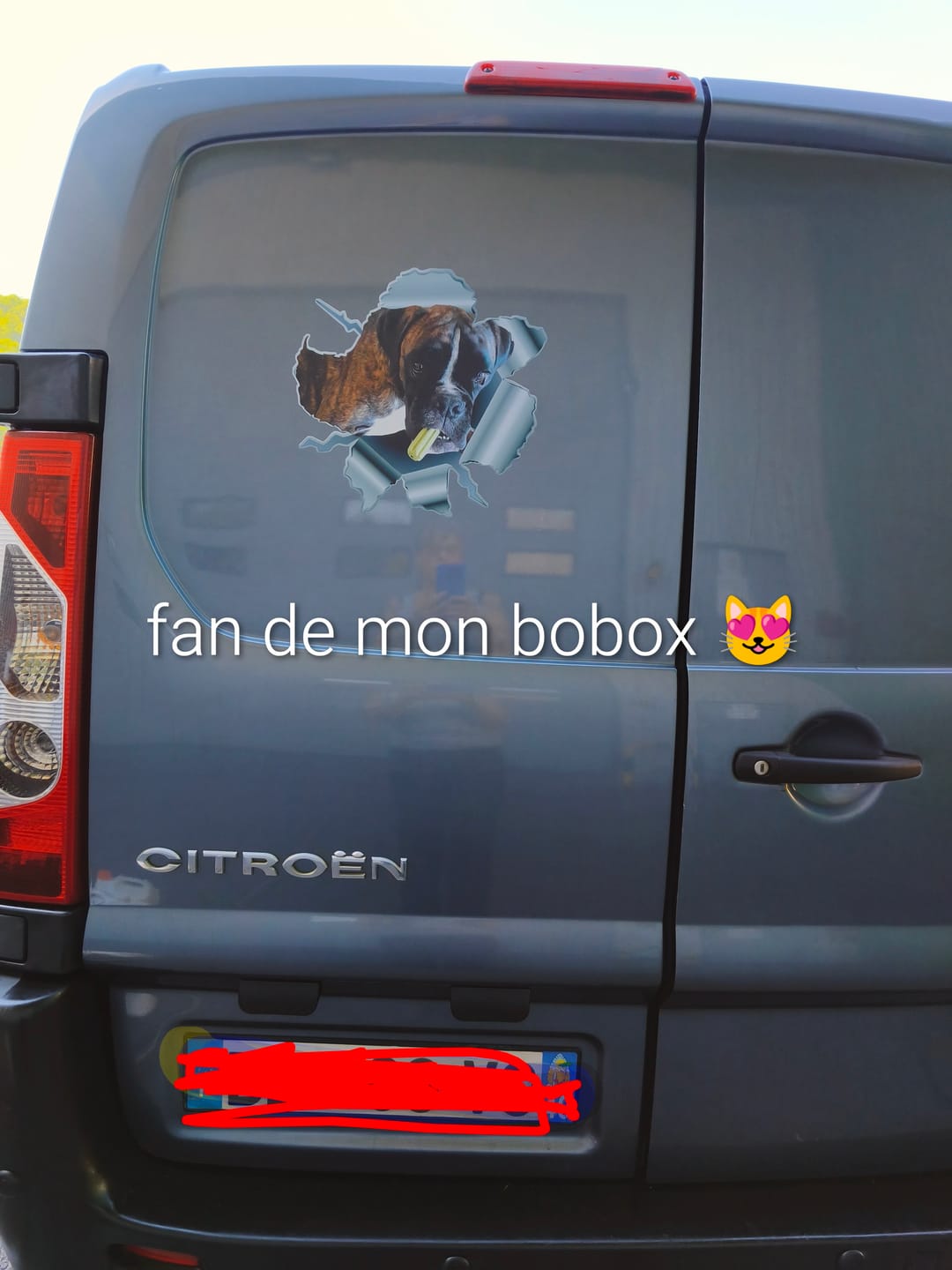 Customer photo review of Photo animal curieux - Autocollant pour voiture personnalisé