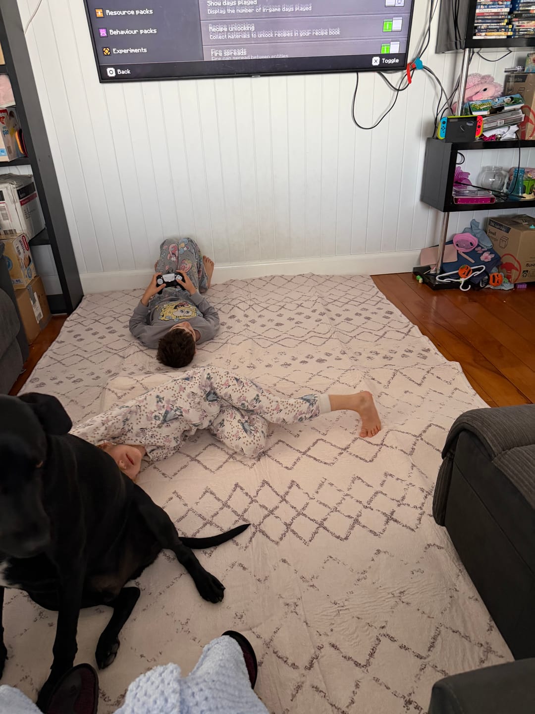Customer photo review of The Mellow Mat v2® Designer Print | Serenity (Soft Touch Sensory Tatami Rug) PR05