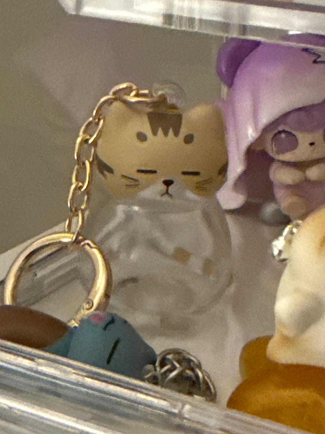 Customer photo review of Cat You Pet Hair Collector Series Pendant Mini Blind Box
