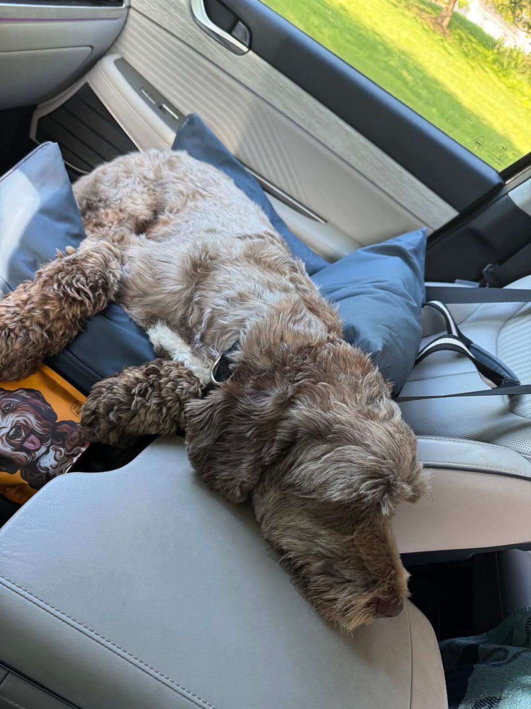 Customer photo review of The Dog Dock V2 New & Improved with LATCH / ISO FIX anchors