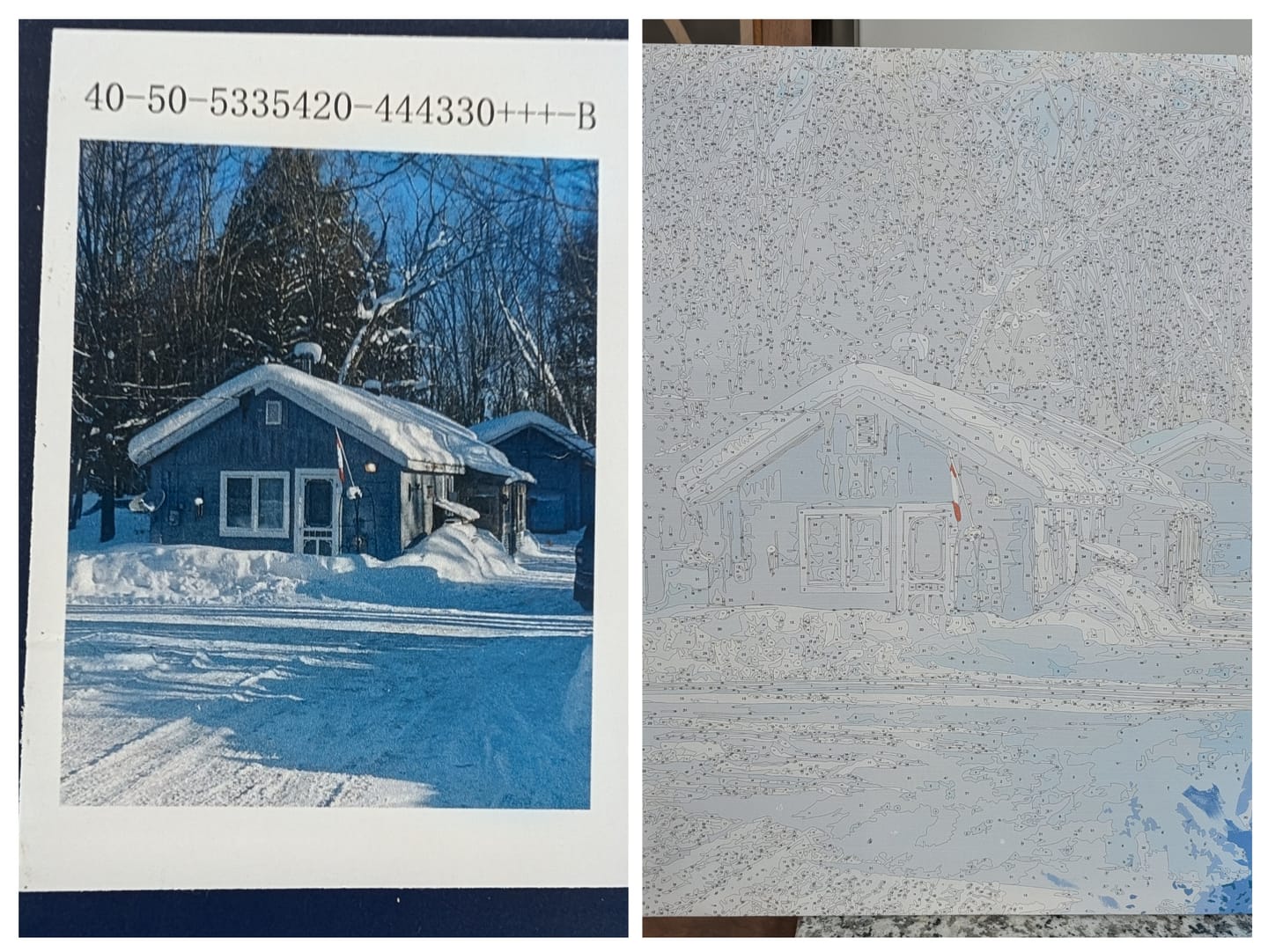 Customer photo review of Custom Paint by Numbers Kit