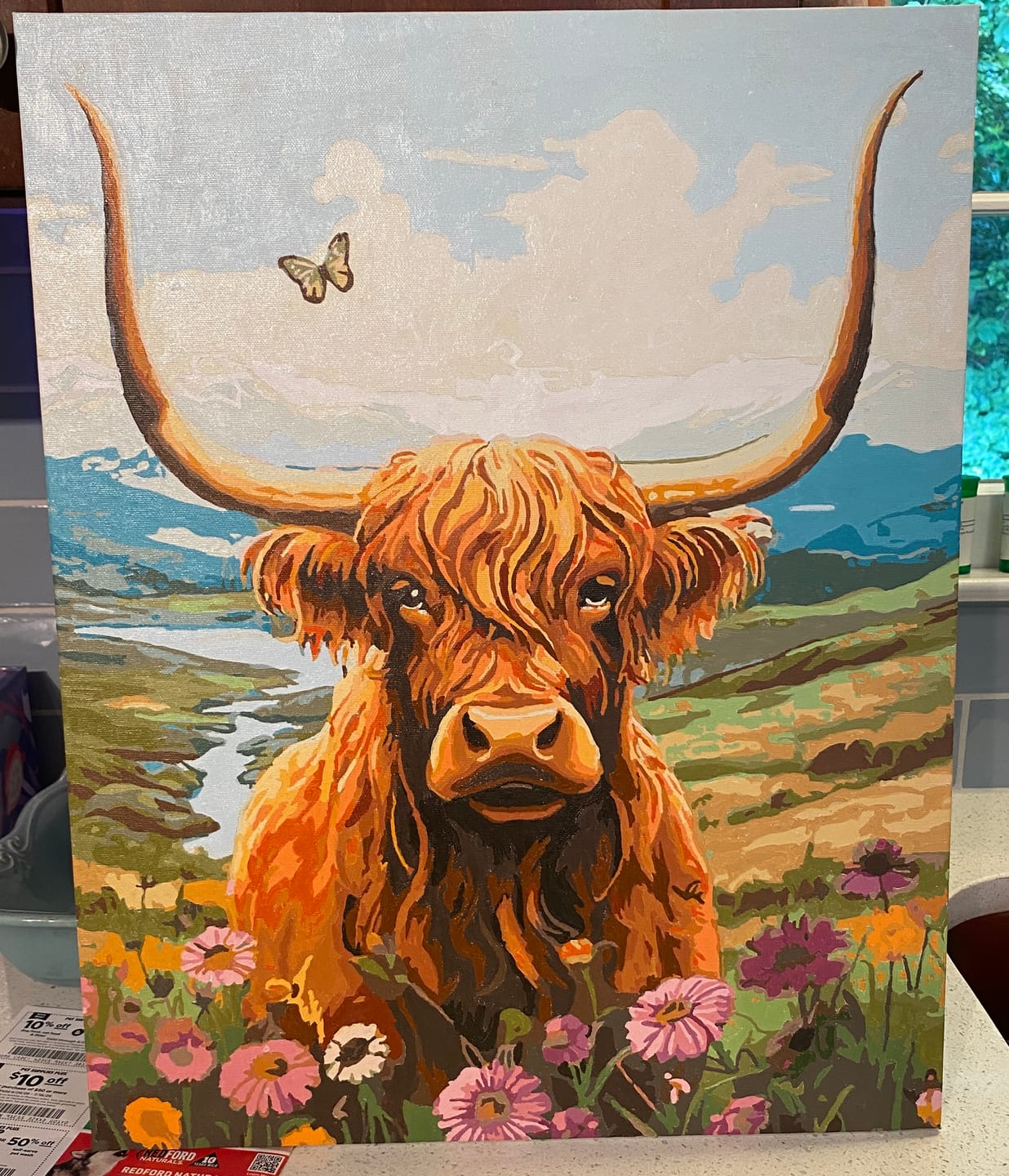 Customer photo review of Highlands Cow