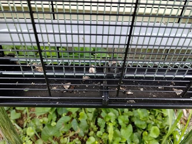 Customer photo review of Upgraded Solar Mosquito Killer Lamp-10W