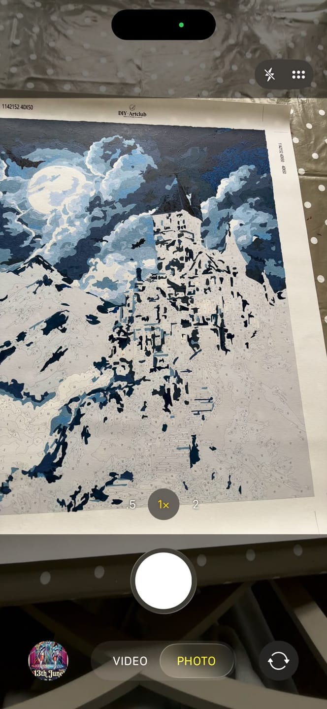 Customer photo review of Dracula`s mansion | Paint by Number