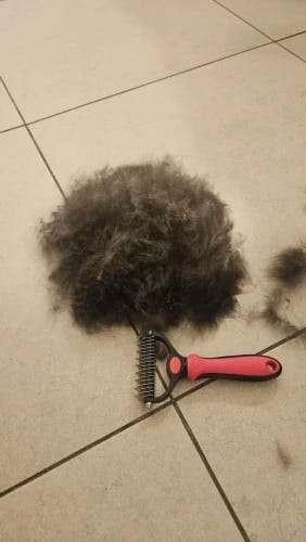 Customer photo review of Double-Sided Dog Dematting Comb & Deshedding Tool for Dogs & Cats