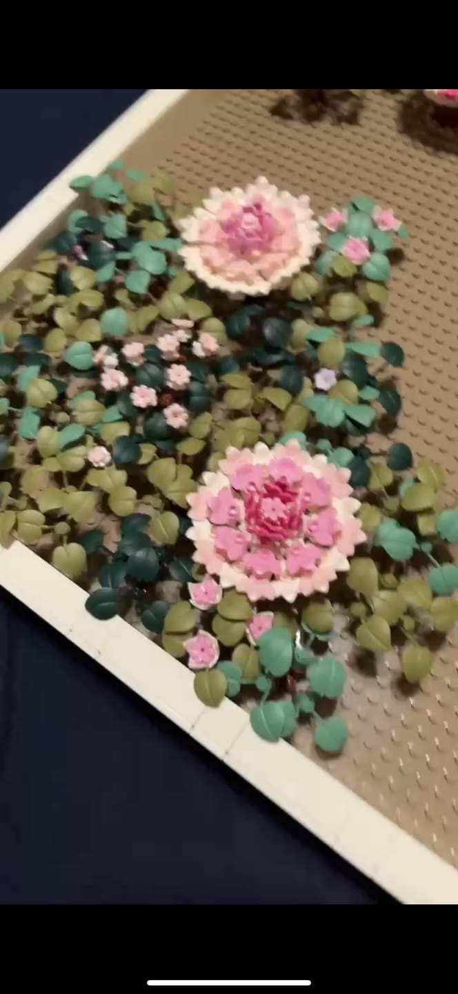 Customer photo review of Sakura Pink Add-On Pack