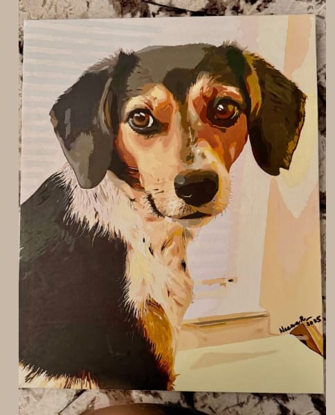 Customer photo review of Custom Paint By Numbers - Personalized Pet Portraits
