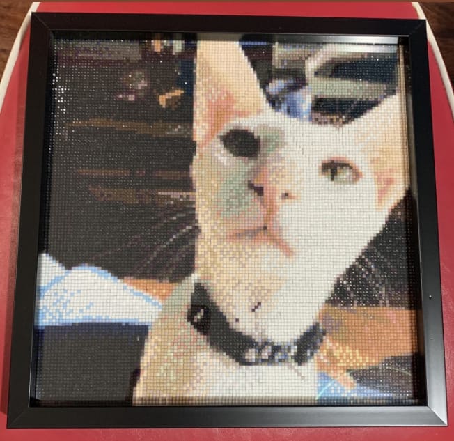 Customer photo review of Custom Diamond Painting Kits