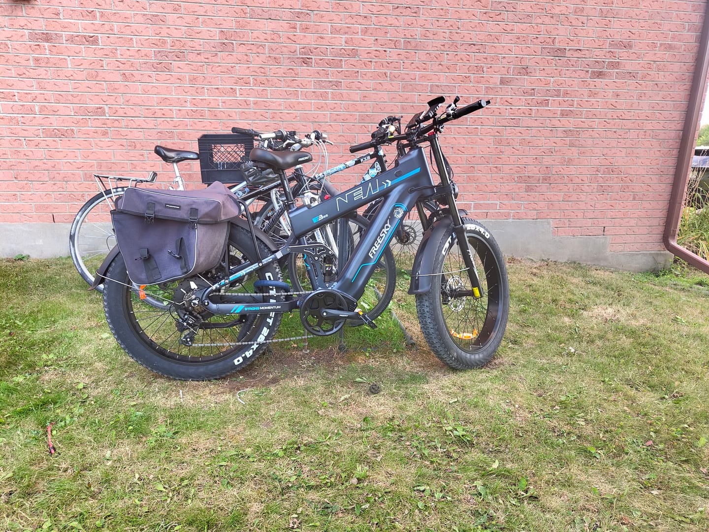 Customer photo review of Alaska Pro M-520