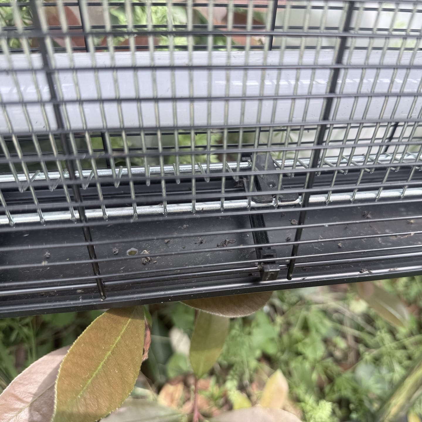 Customer photo review of 4500V Commercial Grade Solar Bug Zapper - Heavy Duty Mosquito Killer Pro