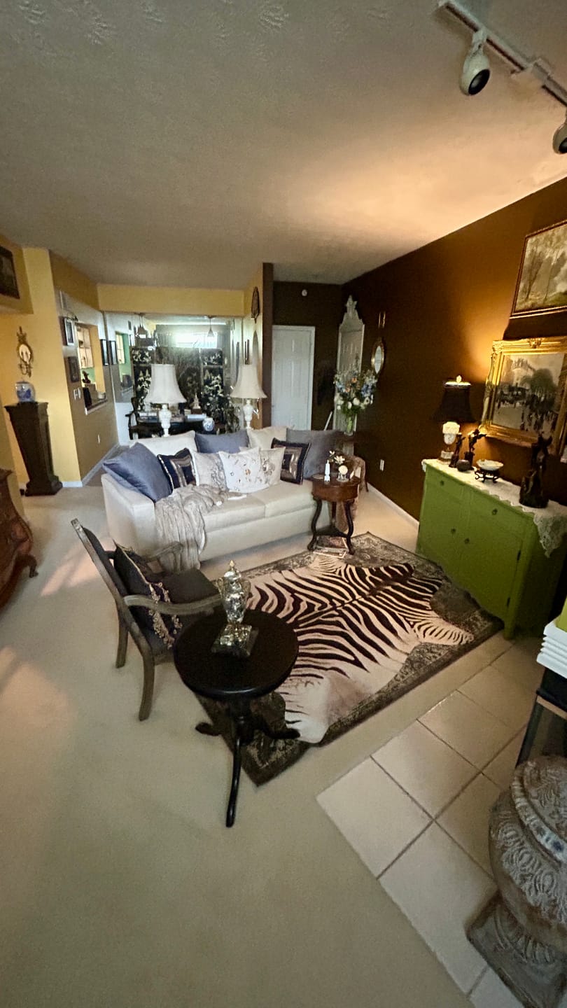 Customer photo review of Jungle Zebra Rug