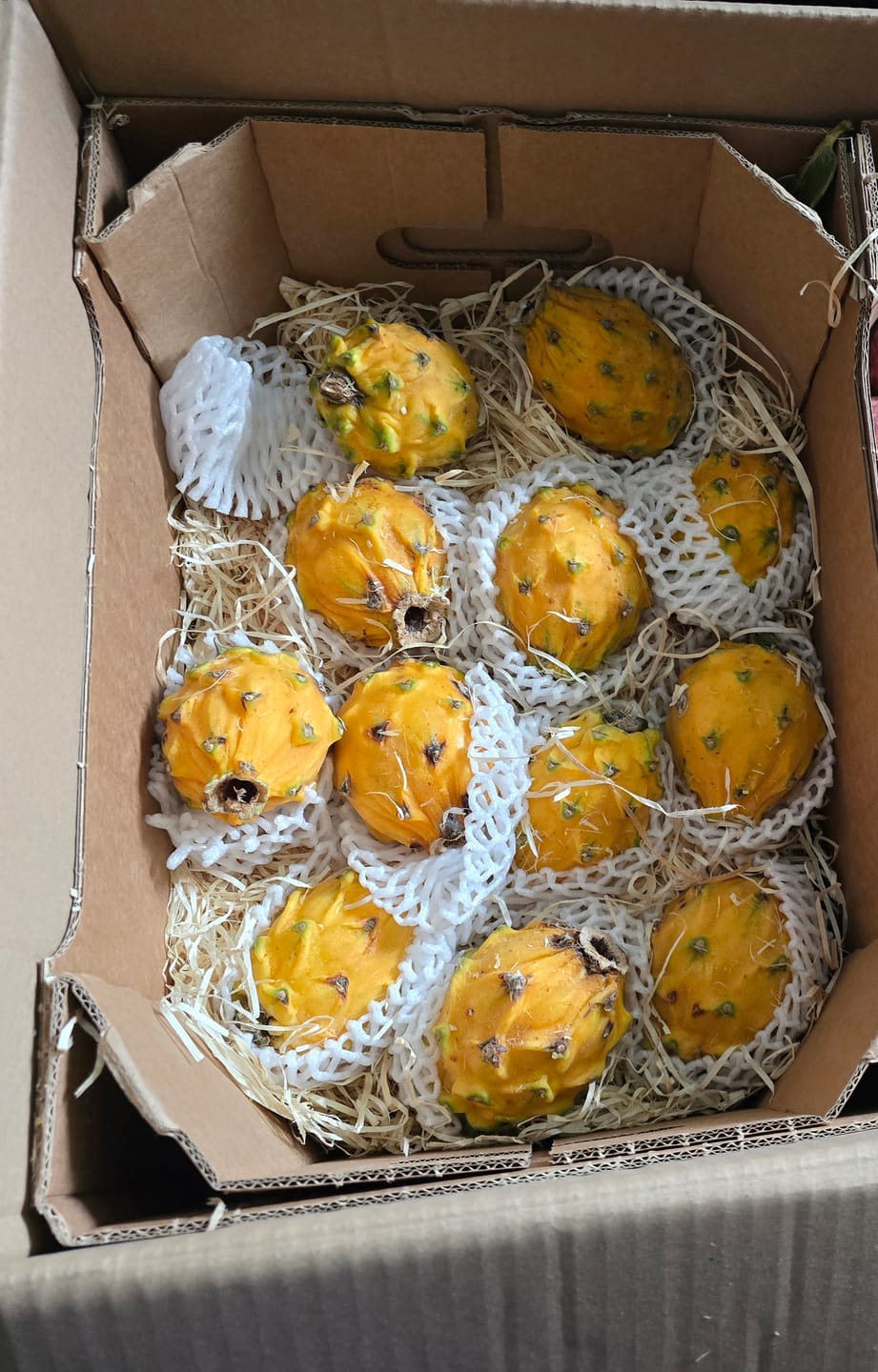 Customer photo review of Goldene Drachenfrucht Sonderaktion % 2kg