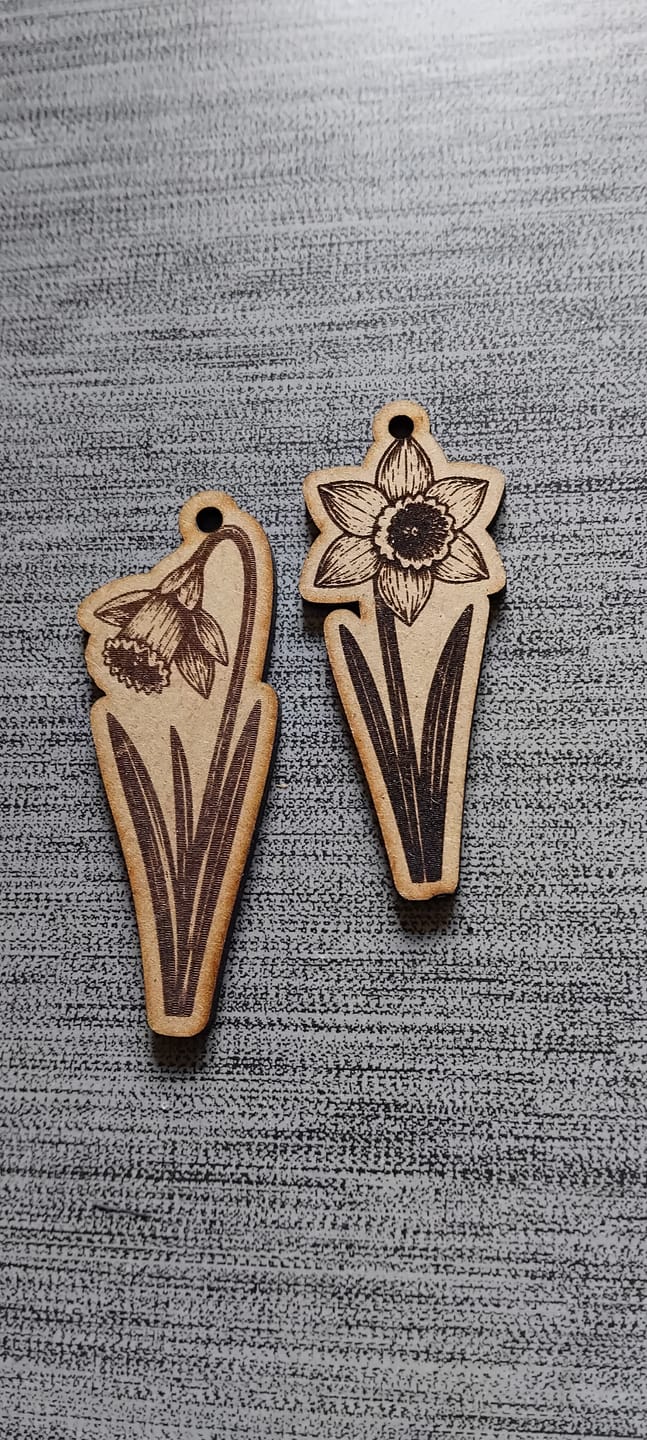Customer photo review of AtomStack Swift Laser Engraver