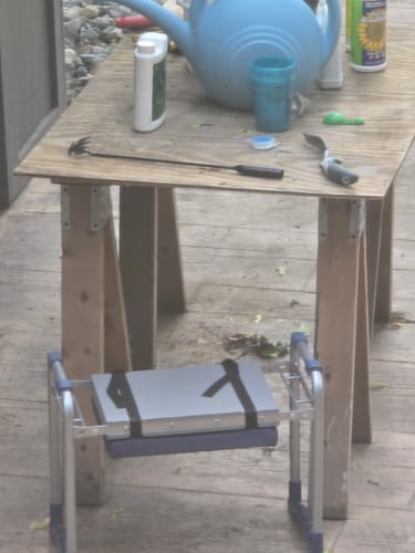 Quenzly garden kneeler beside flowers