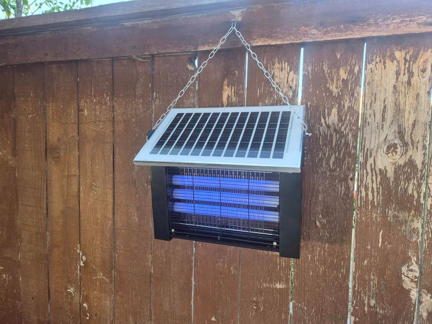 Customer photo review of Upgraded Solar Mosquito Killer Lamp-10W