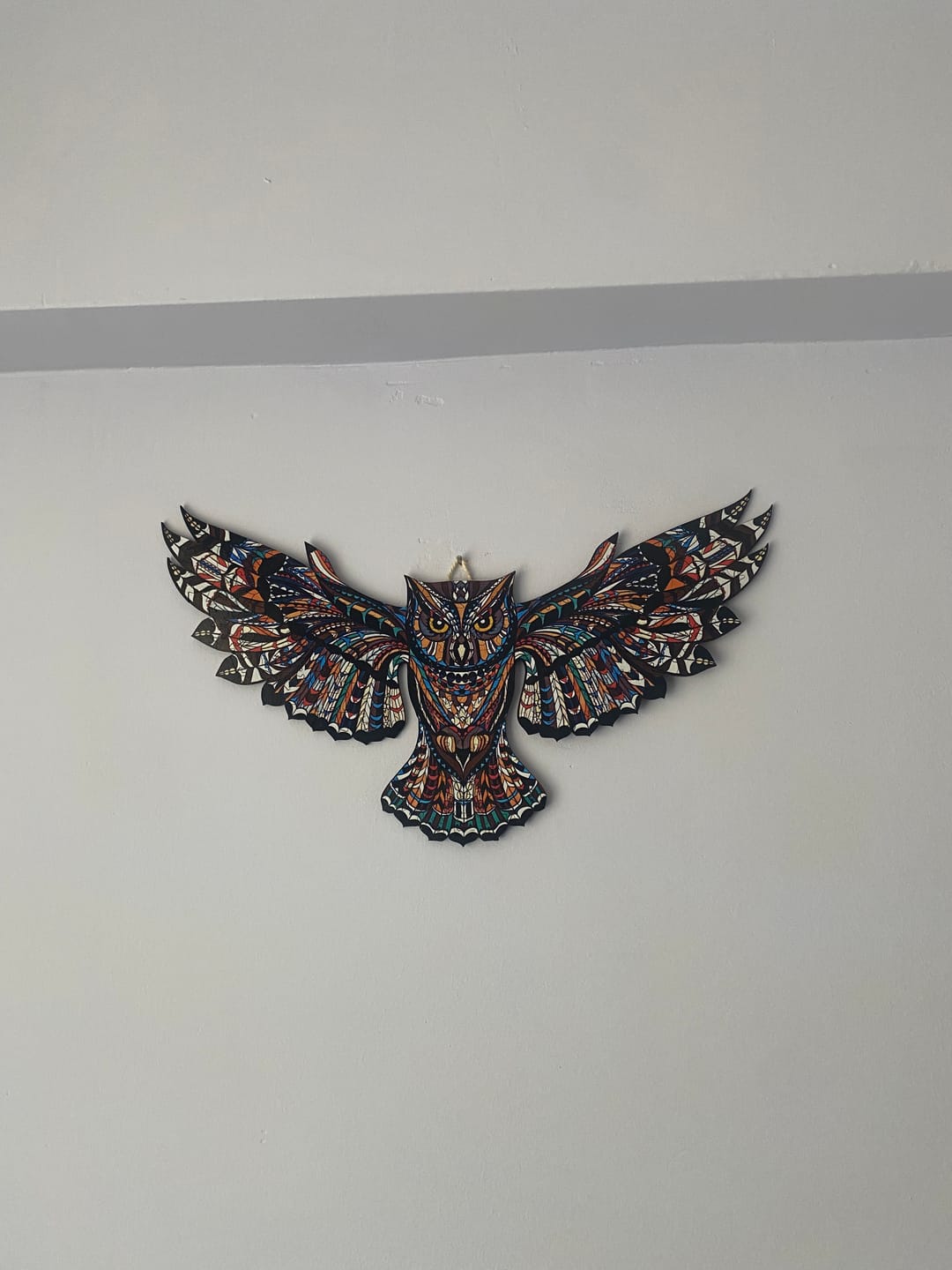 Customer photo review of Görkemli Baykuş