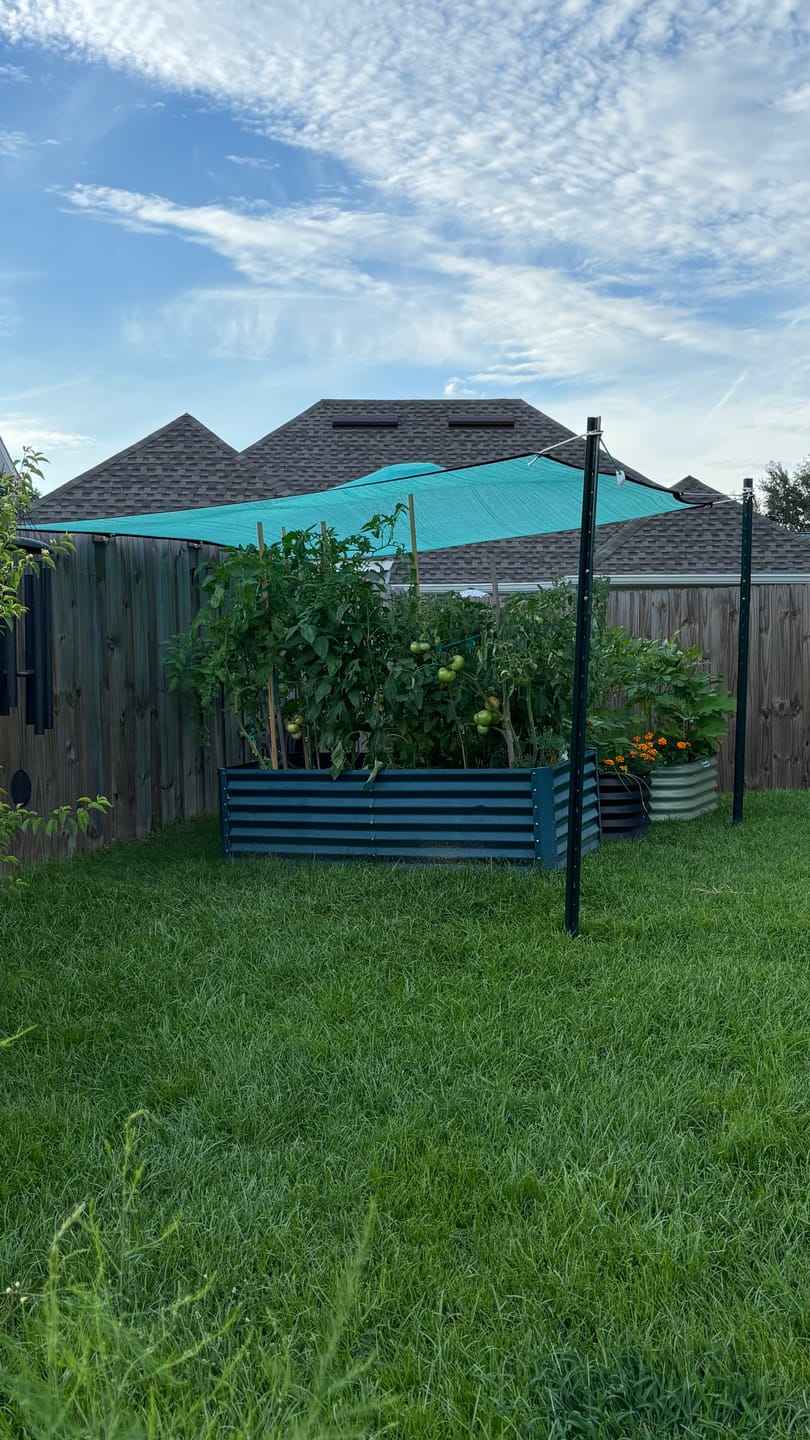 Customer photo review of 40% Shade Cloth