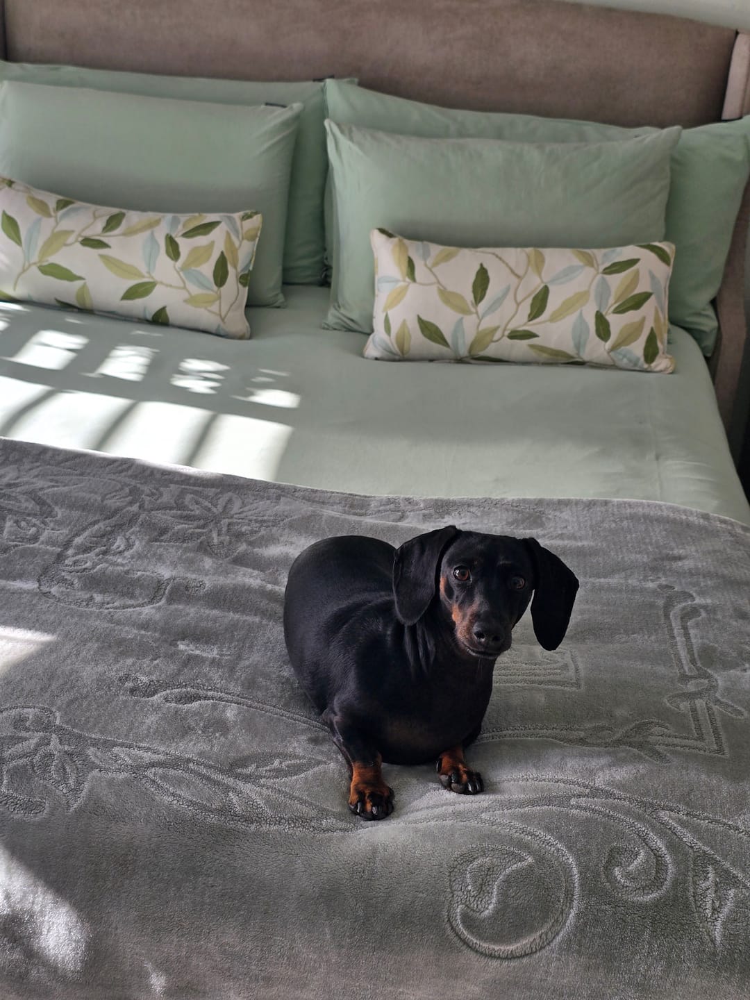 Customer photo review of Duvet Cover Set - Fauna