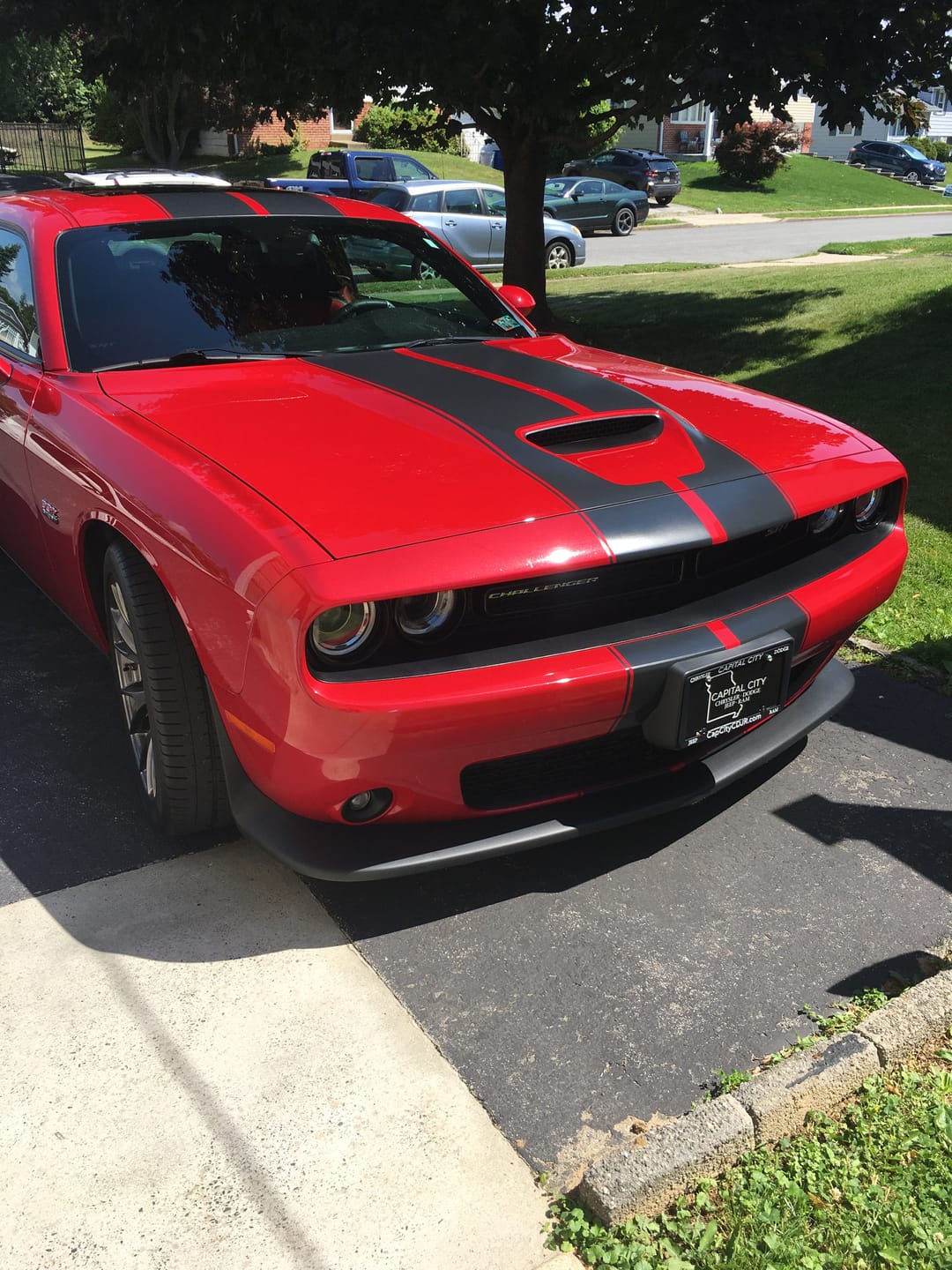 Customer photo review of Armour PRO Quartz Coating