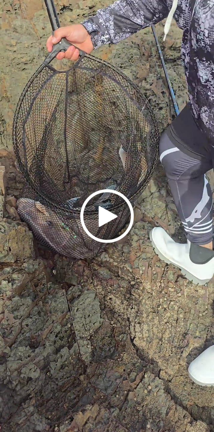 Customer video review of Black Magic - Telescopic Landing Net