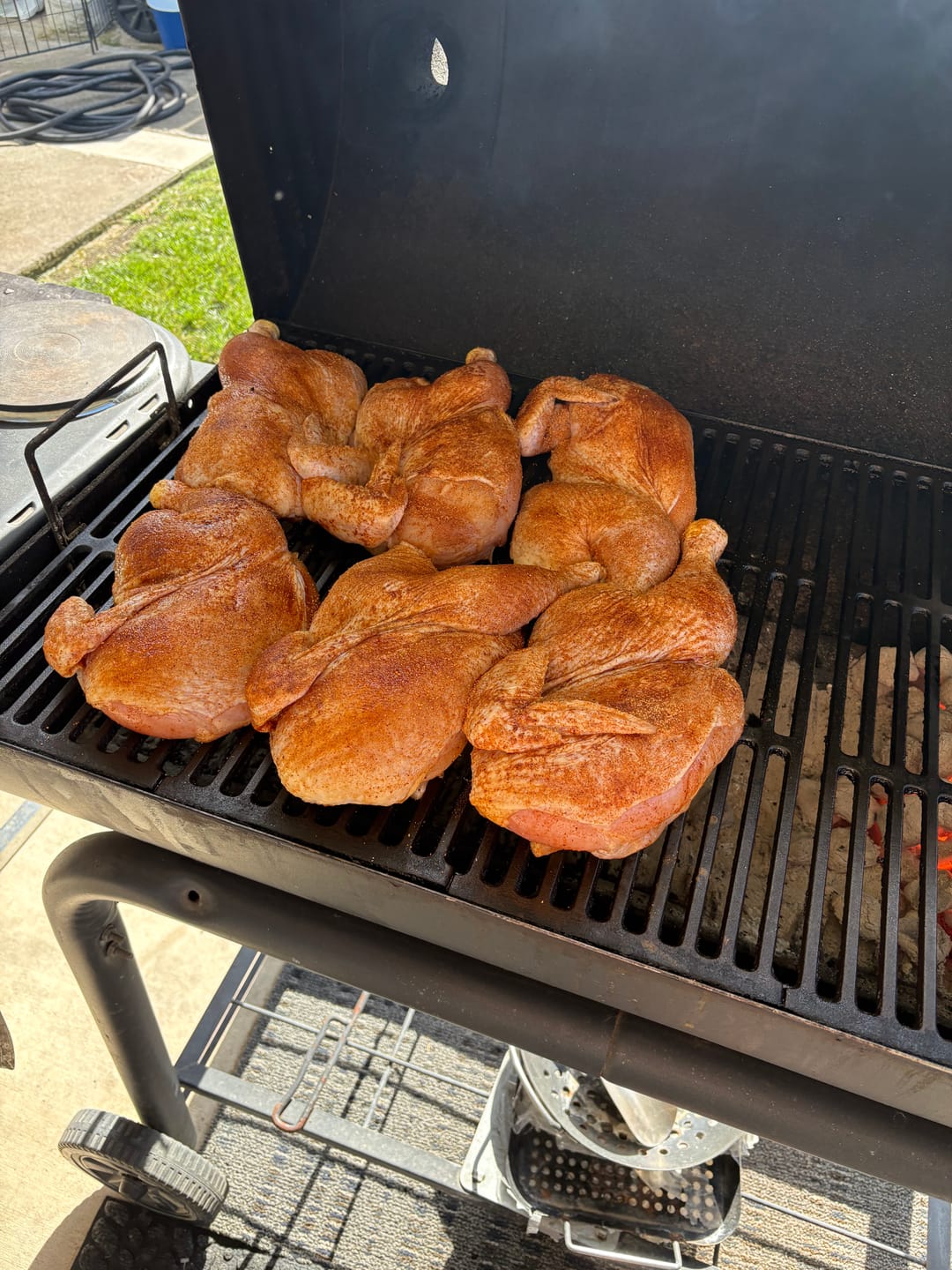 Customer photo review of World Championship Rib Bundle