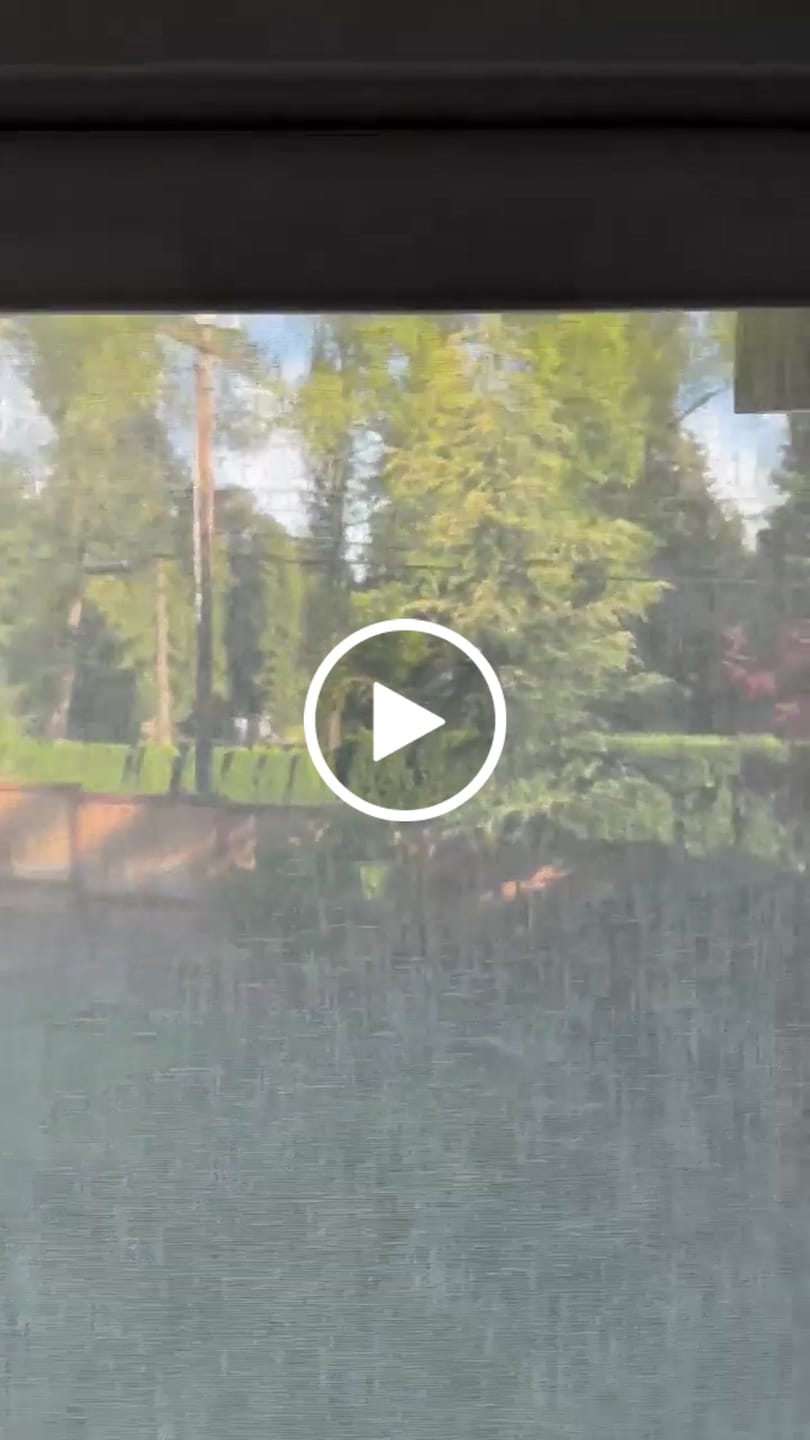 Customer video review of Smart Motorized Light Filtering Sheer Roller Shades Translucent Vision
