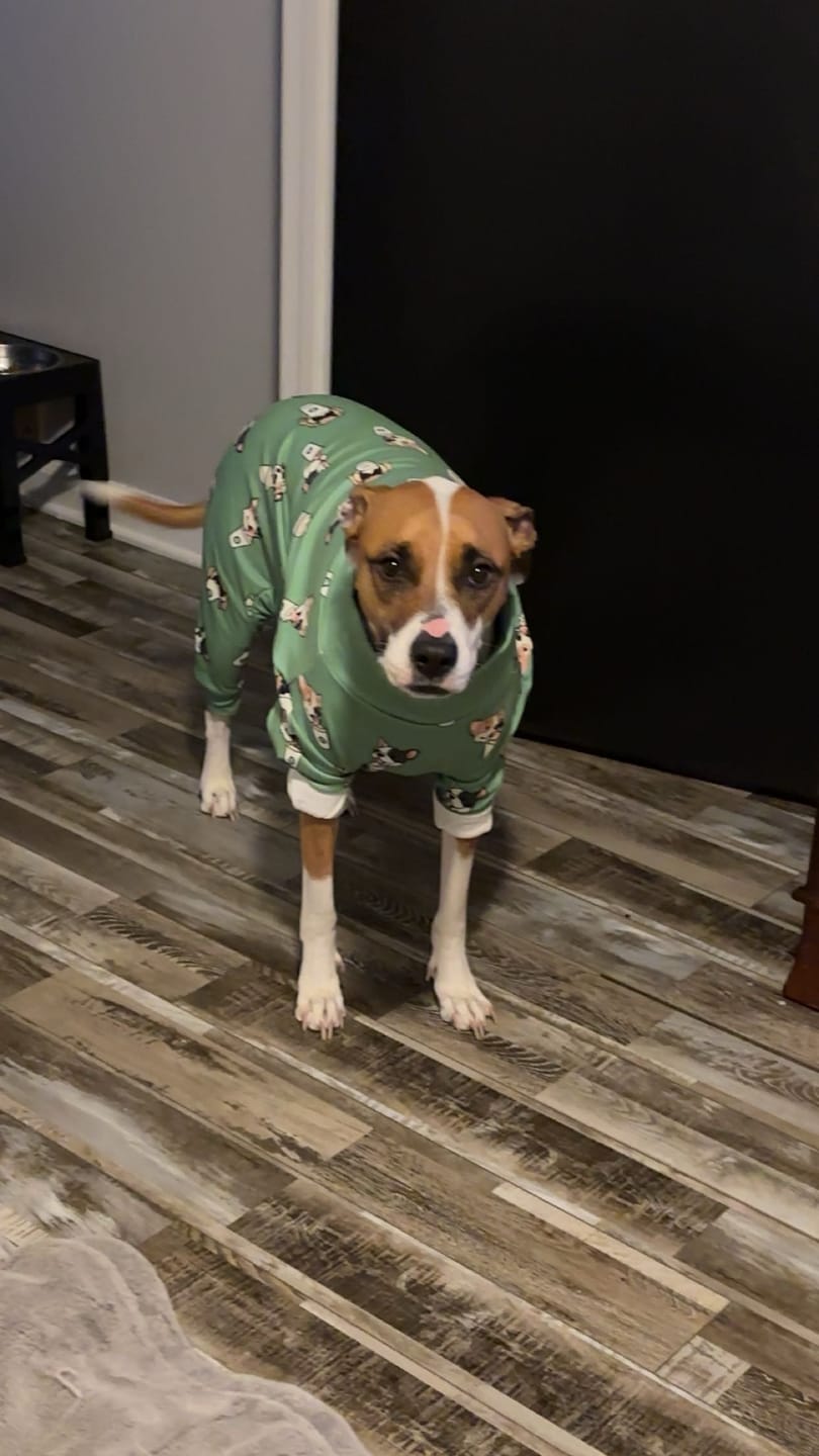 Customer photo review of Dog Pajama - Pup Cup