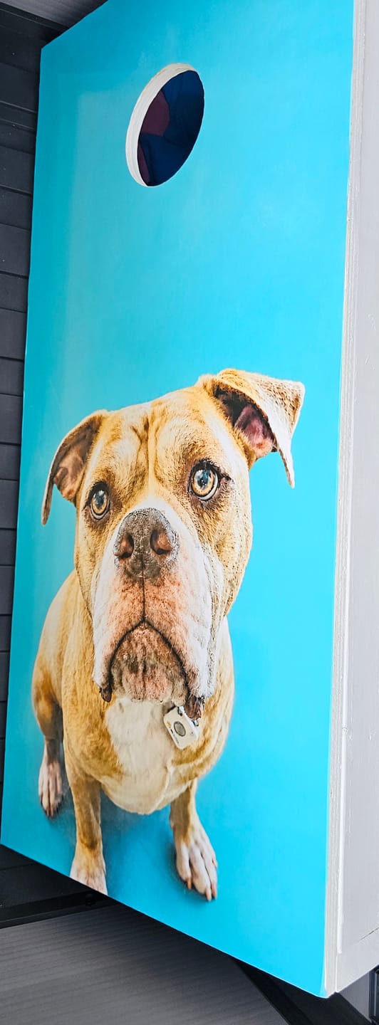 Customer photo review of Custom Cornhole Board Wrap