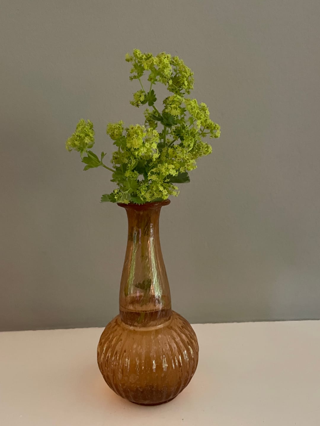 Customer photo review of Glass Bud Vase