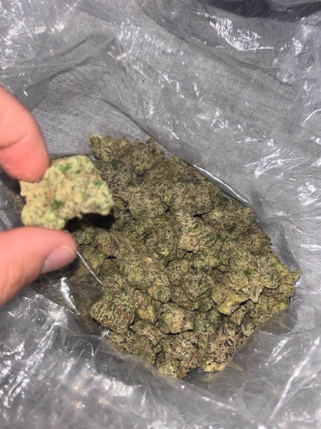 Customer photo review of Boutique Exotics  Lemon Dior - Bulk - Hybrid