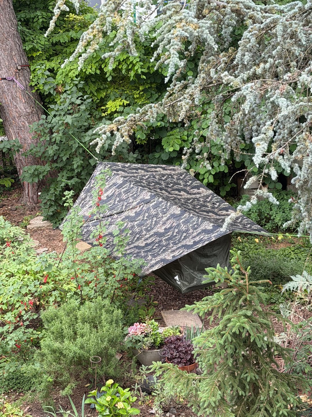 Customer photo review of Haven Tent Rainfly