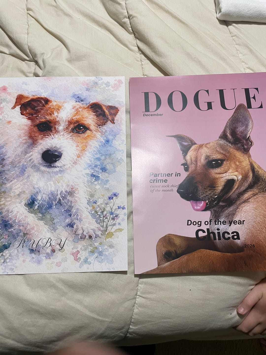 Customer photo review of Personalised Poster With Dog - Dogue