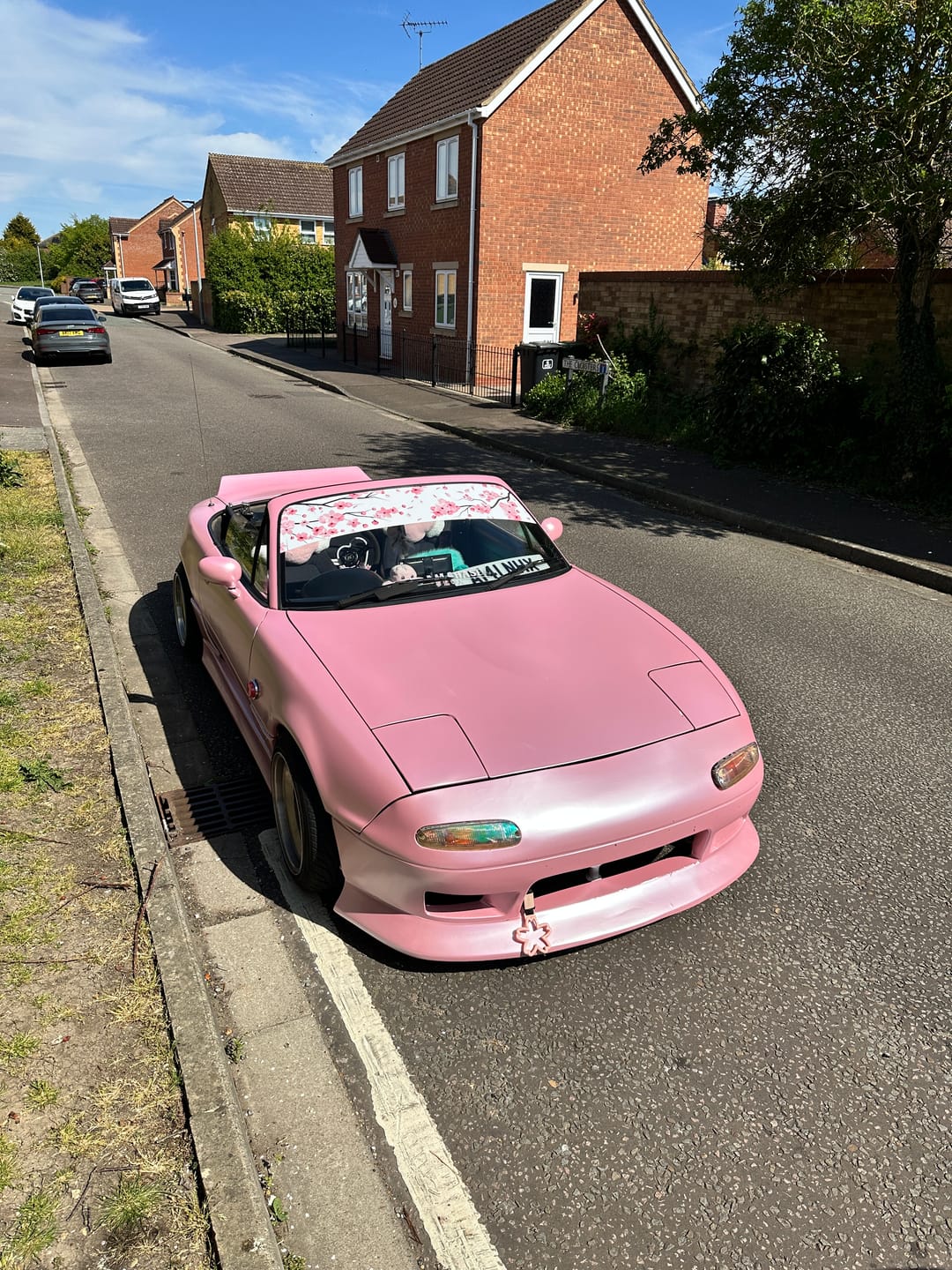 Customer photo review of Matte Metallic Pearl Baby Pink Vinyl Wrap