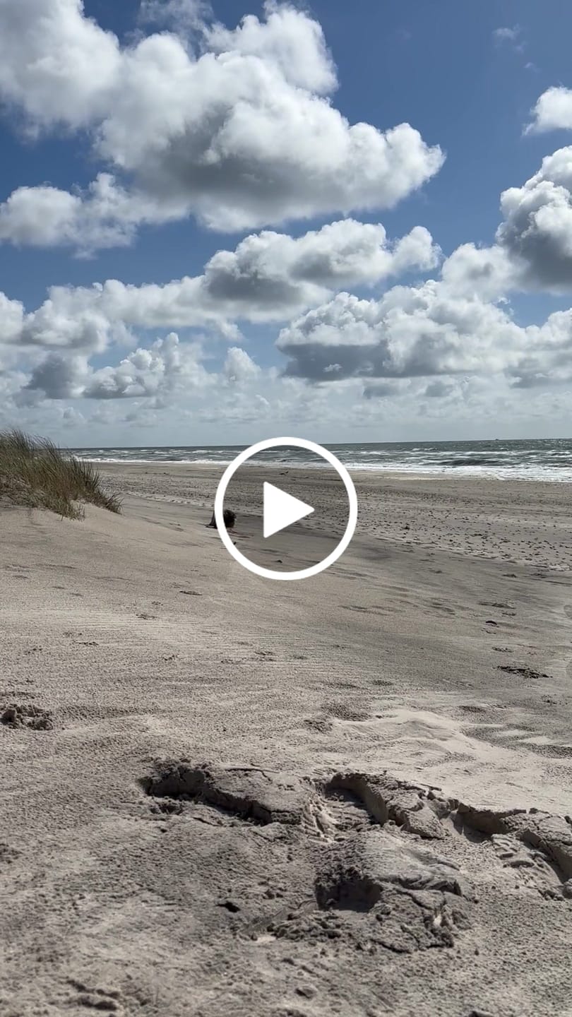 Customer video review of Wurmtest Plus Hund