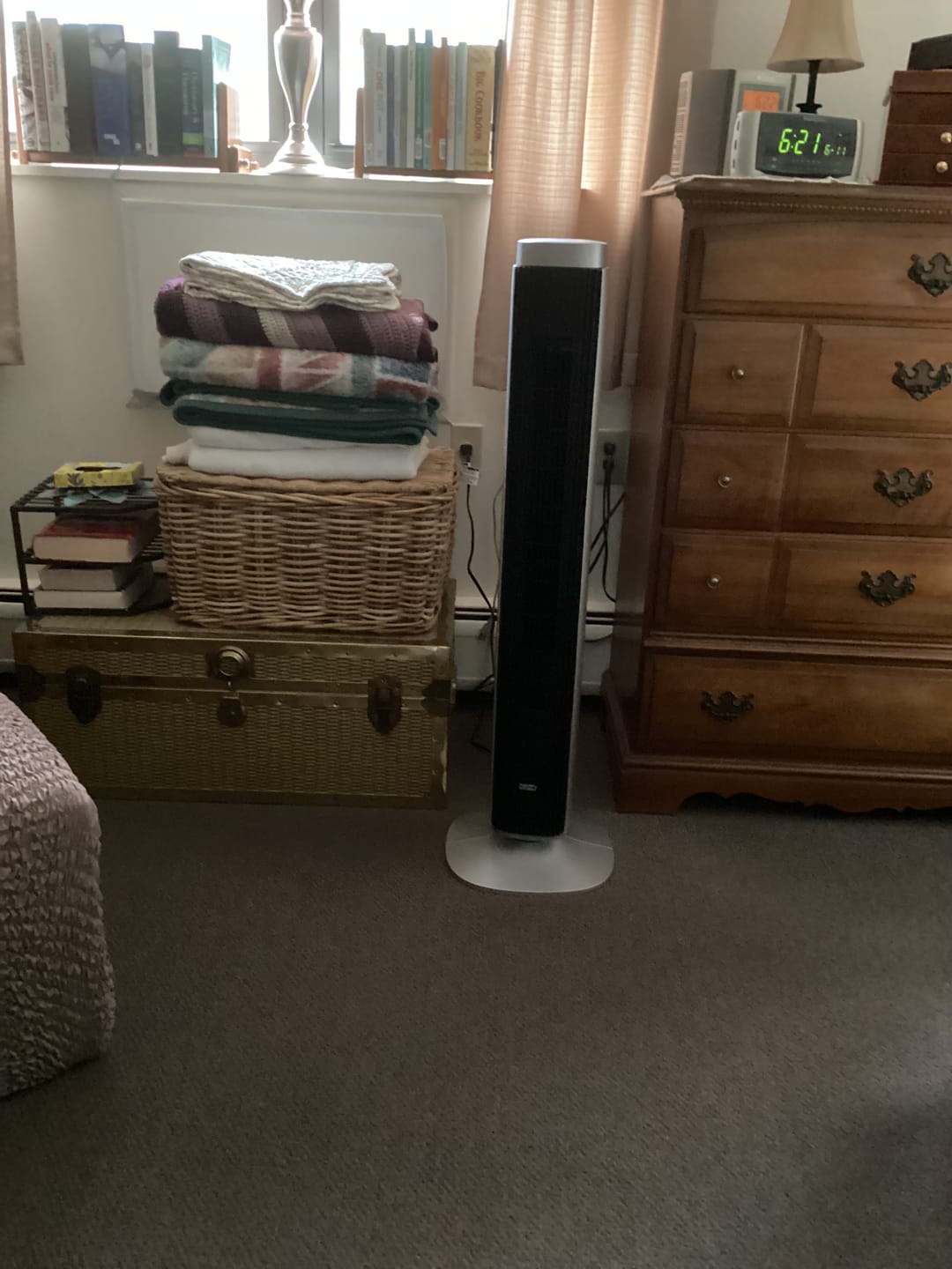 Customer photo review of Smart Tower Fan Pilot Pro S