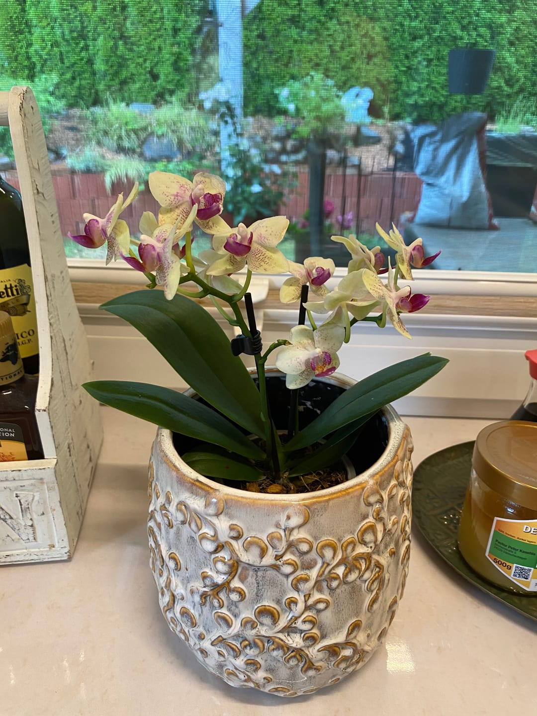 Customer photo review of Table Dance Sunny mit gelben Blüten und 2 Rispen