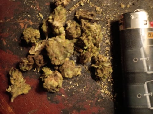 LITTLES BRAND - Citrus Skunk Littles - 28 Grams - Sativa photo review