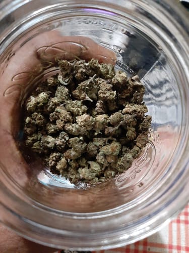 Raspberry Kush MICROS - 28 Grams - Indica photo review
