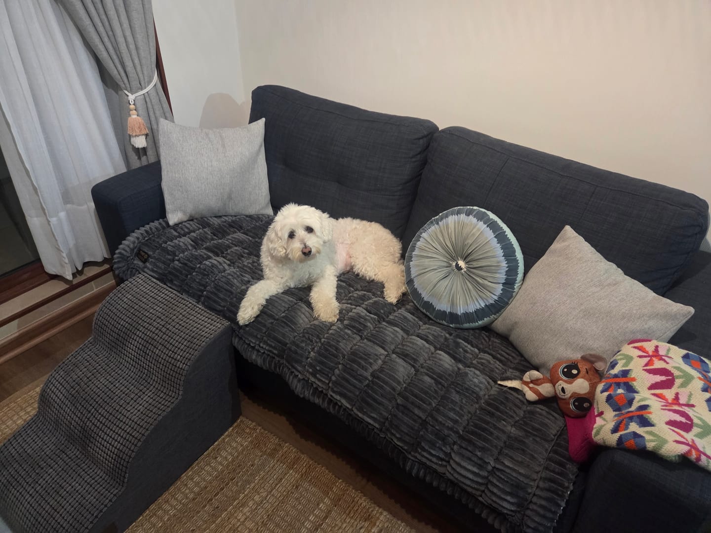 Customer photo review of Majestuoso · Protector Premium para Sofá