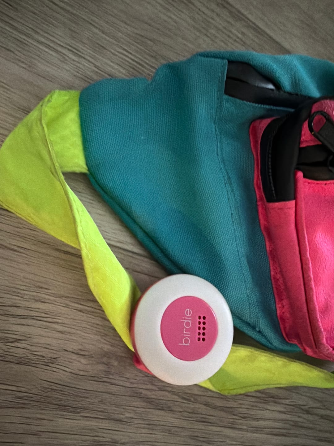 Customer photo review of Birdie Disc
