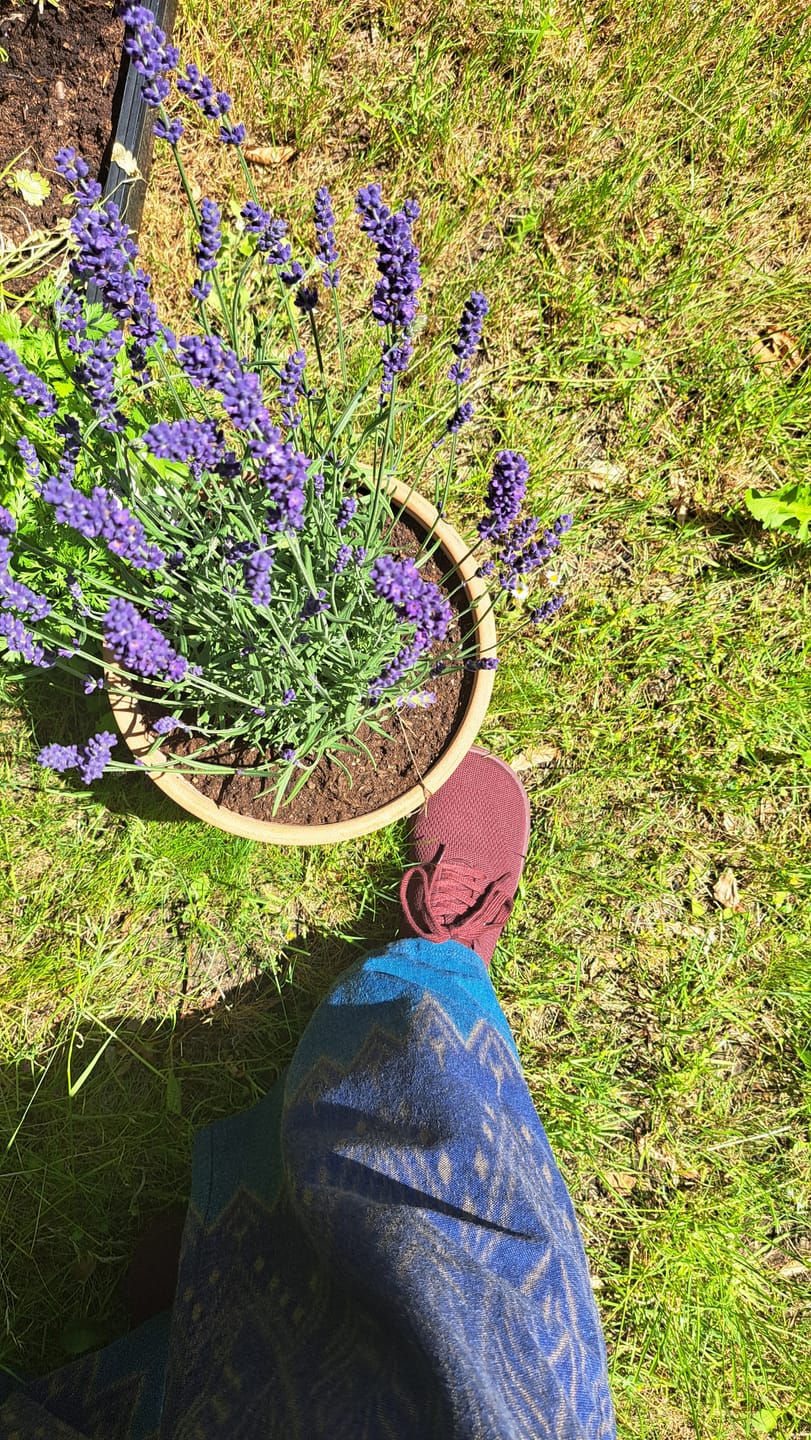 Customer photo review of Vaistoa Iloa | Knitted Barefoot Sneakers