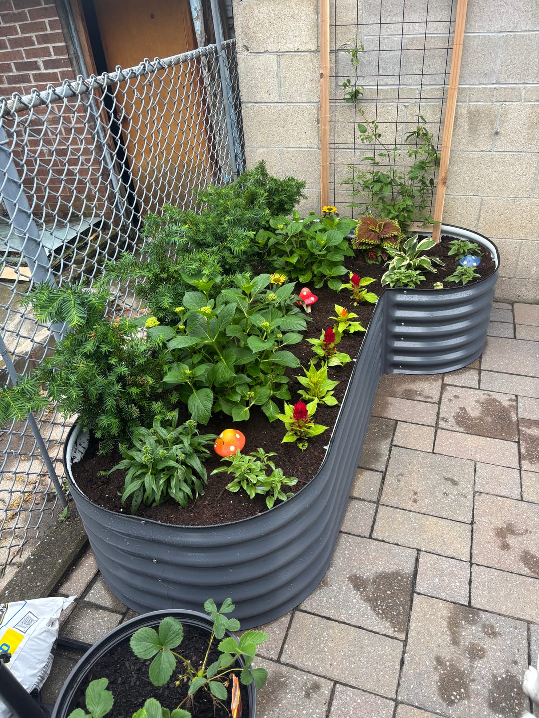 Customer photo review of 17” Tall L-Shape