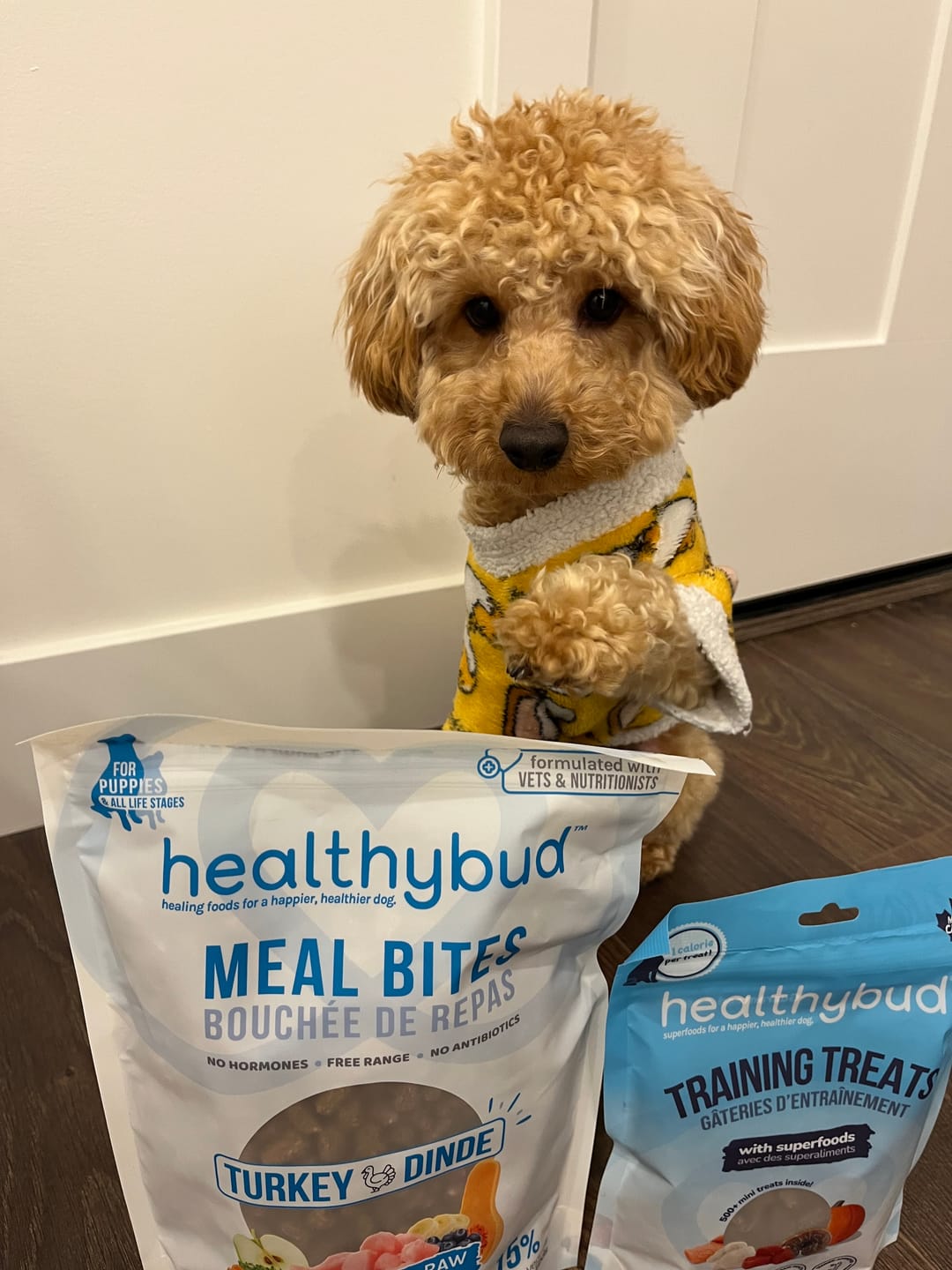 Customer photo review of Turkey Meal Bites
