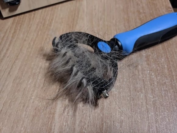 Customer photo review of Double-Sided Dog Dematting Comb & Deshedding Tool for Dogs & Cats