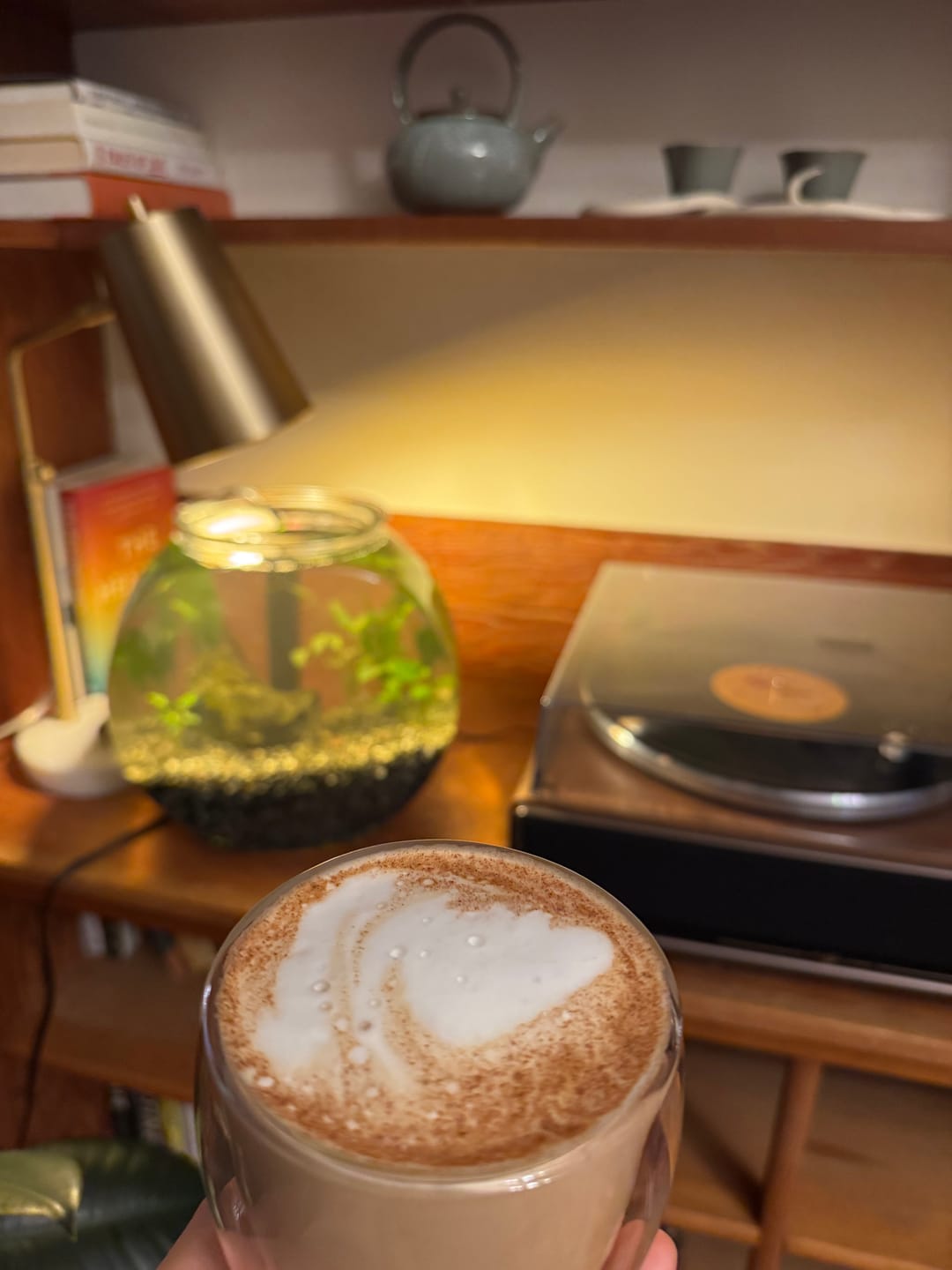 Customer photo review of COSTA RICAN MONTECIELO COFFEE FROM TARRAZÚ 2LB