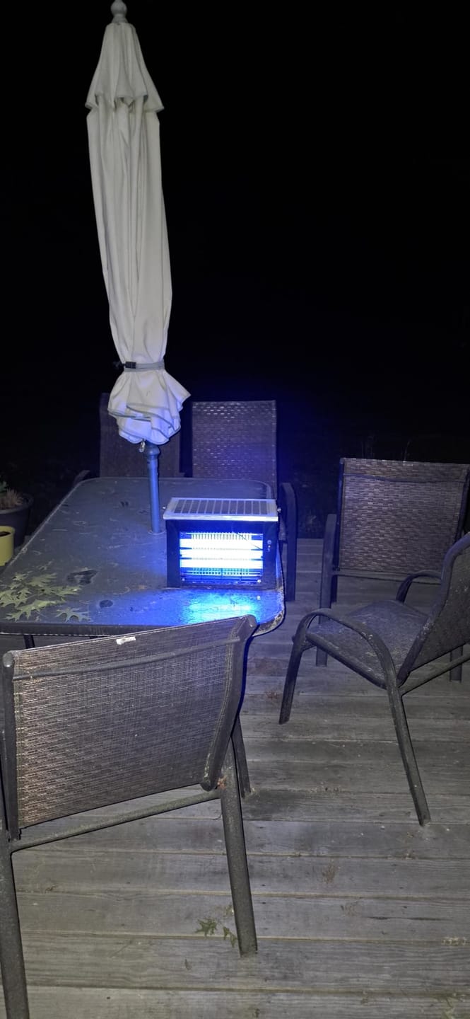 Customer photo review of Upgraded Solar Mosquito Killer Lamp-10W