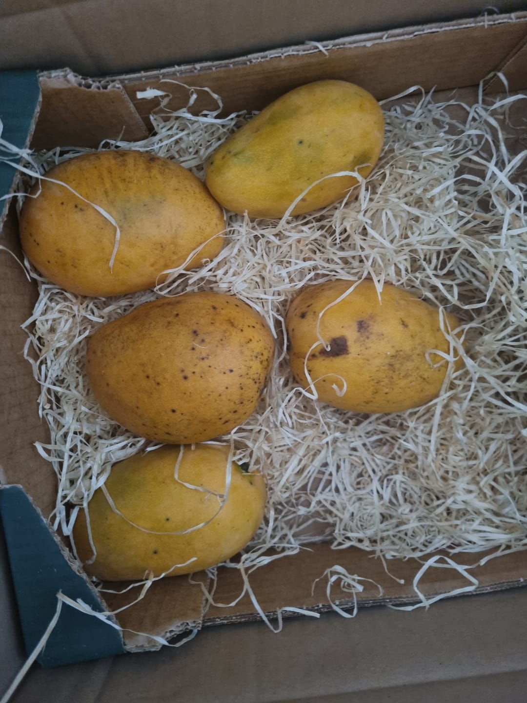 Customer photo review of Mango Mingolo baumgereift Sonderaktion % 2kg Box