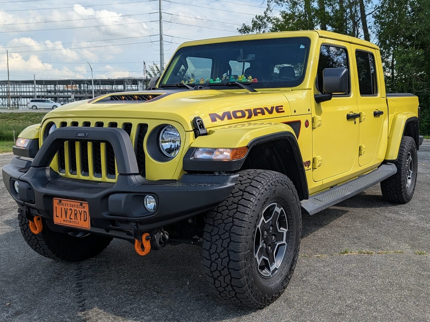 Customer photo review of Hood Graphic for Gladiator MOJAVE