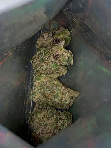 Customer photo review of Exotic Smalls
