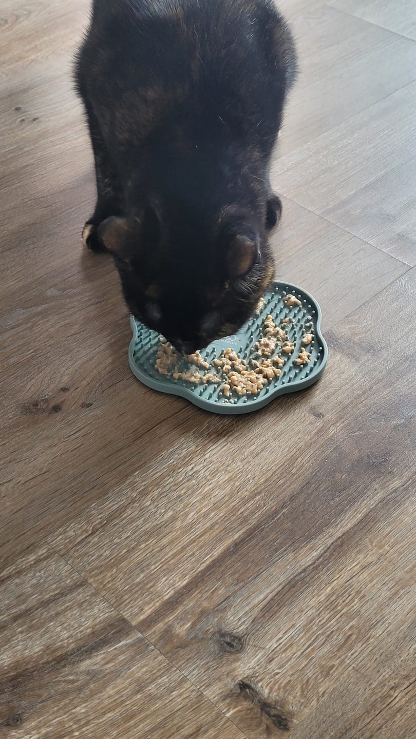 Customer photo review of Tapis anti-glouton pour chat - Cool Cat Club